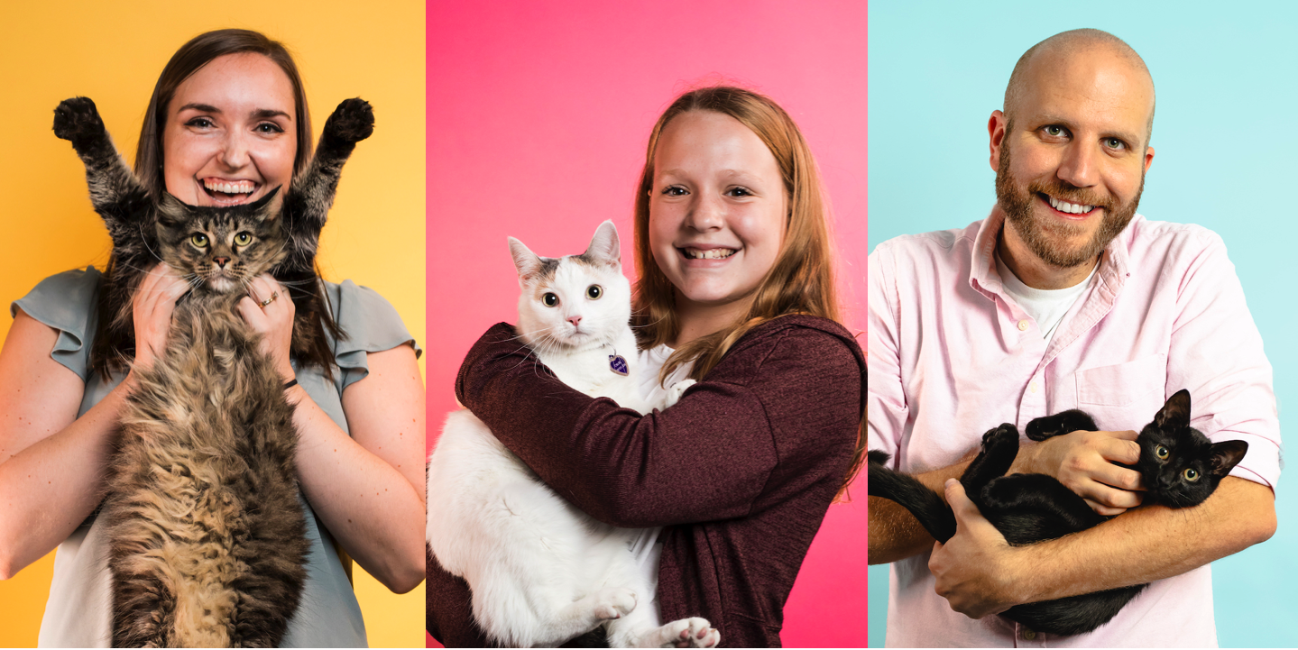 The Humane League’s Kitties Of The City: Winter 2018 - Fig Lancaster