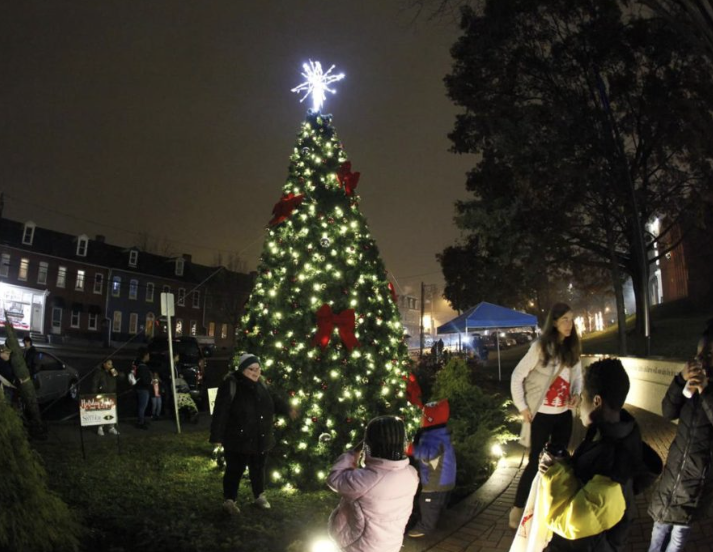 Light Up Southeast - Fig Lancaster